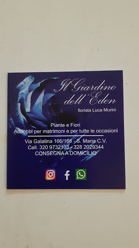 Il Giardino Dell Eden Piante E Fiori di luca Murini