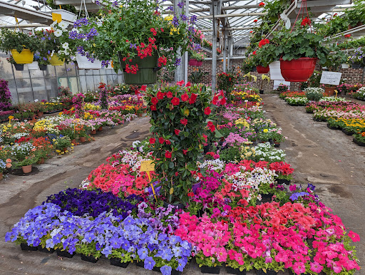 Espace fleurs NEILZ Végétalerie, Vendôme - Thumbnail