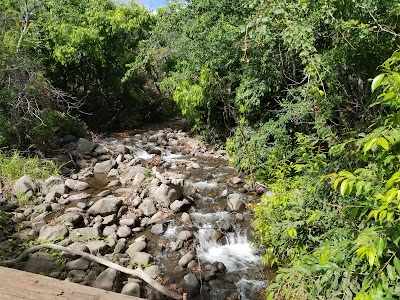 Olowalu Petroglyphs