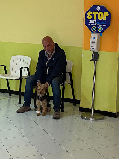 Ambulatorio Veterinario Dott. Vincenzo Romano - Thumbnail
