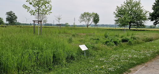 Friedhof Sehnde