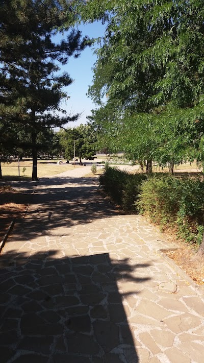 Photos of park "Borovets"