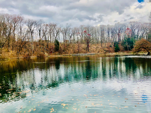 Lily Pond, Mill Creek Park - Thumbnail