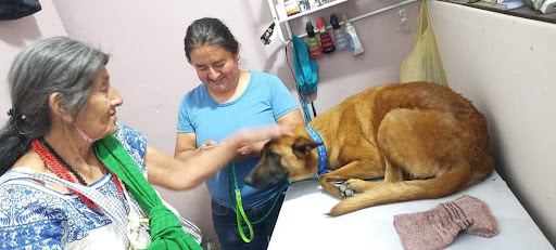 GAEV Consulta Veterinaria
