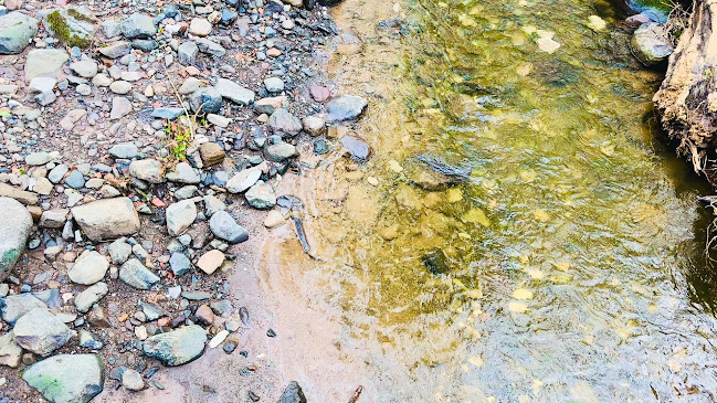 Colin Glen Forest Park Open Times