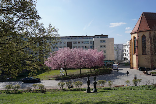 Blumenhof, el patio de la flores - Thumbnail