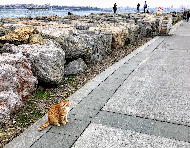 Moda Coastal Park and Pathway