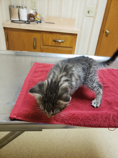 Shelby Veterinary Service, P.C. - Thumbnail