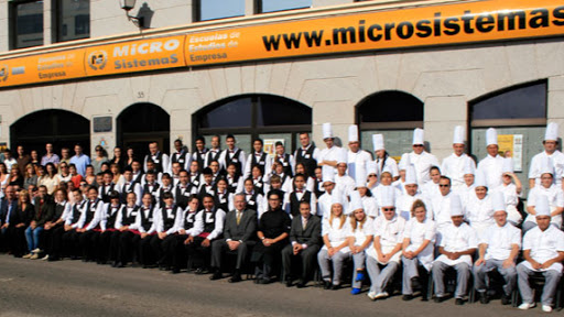 Microsistemas Lanzarote