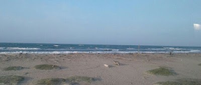 Photos of Isla de Salamanca