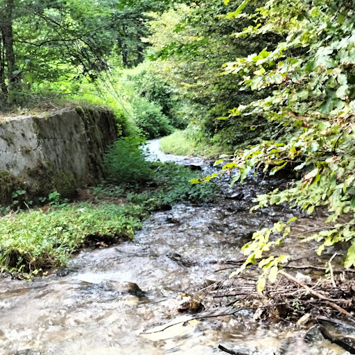 Foresta di Fossa Cupa - Thumbnail