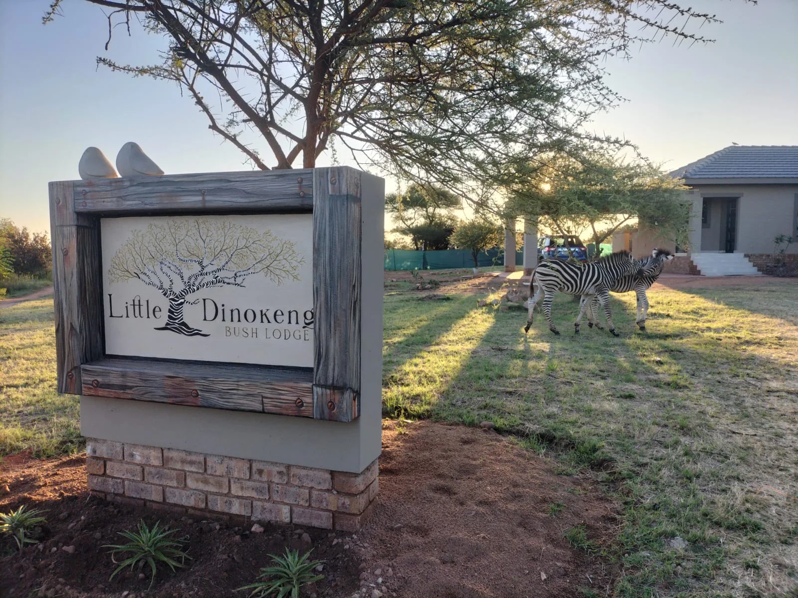 Little Dinokeng Bush Lodge