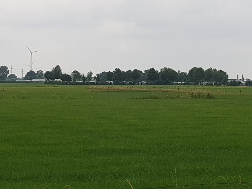 't Oostenriek - Thumbnail