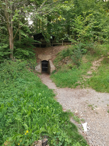 Blankenheim Forest - Thumbnail