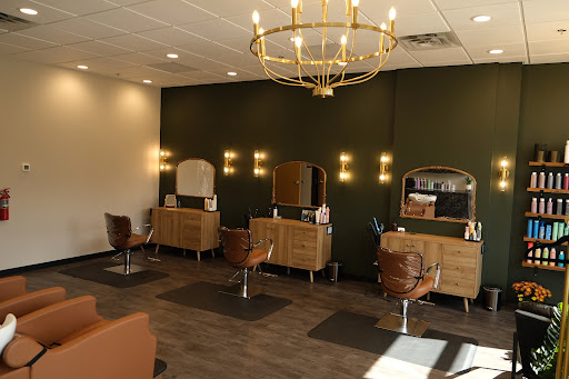 shaya salon - Thumbnail