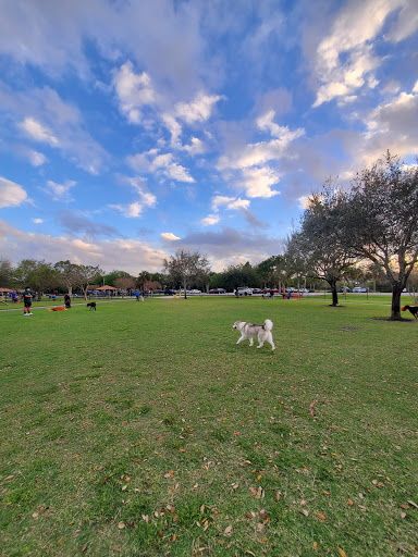 Barkham at Markham - Thumbnail
