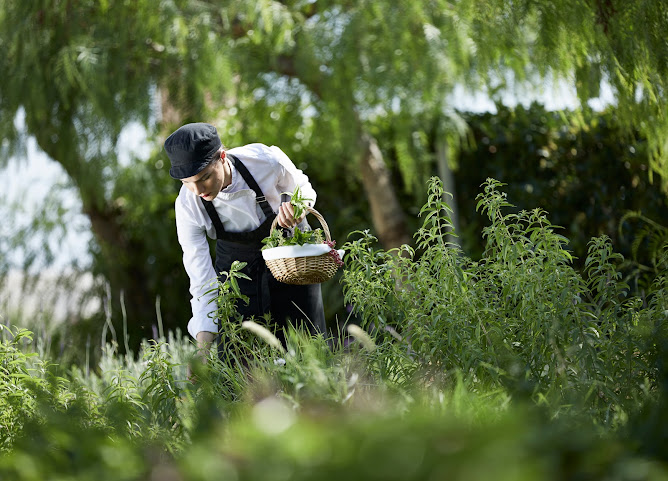 Boutique 5 Hotel & Spa by null