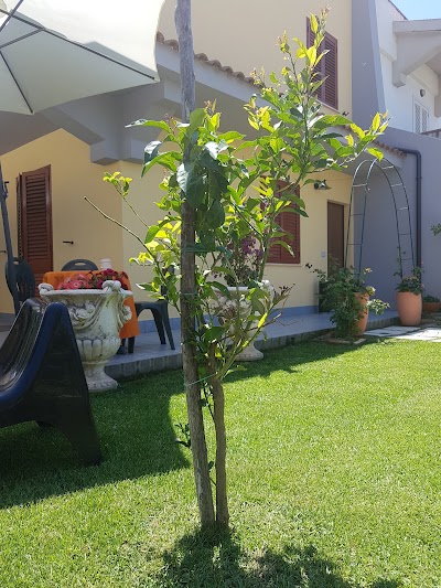 Photos of Villa dei Cedri