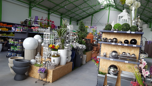 Opinii despre CentrumJusis în Ostróda - Ogrodnik