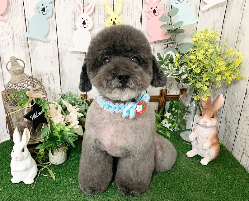 ペットサロンうちのわんこ