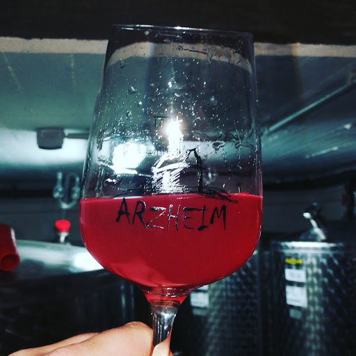 Weingut Wittmann - Thumbnail