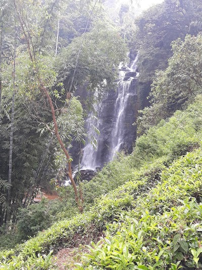Photos of Mount Vernon Waterfall