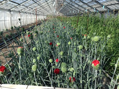 山口県農林総合技術センター