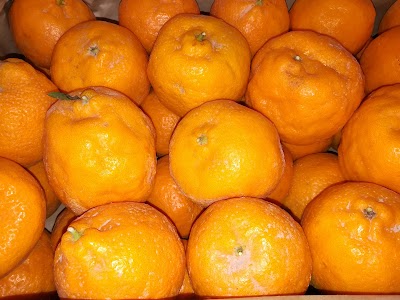 Photos of Cafe Koocheh