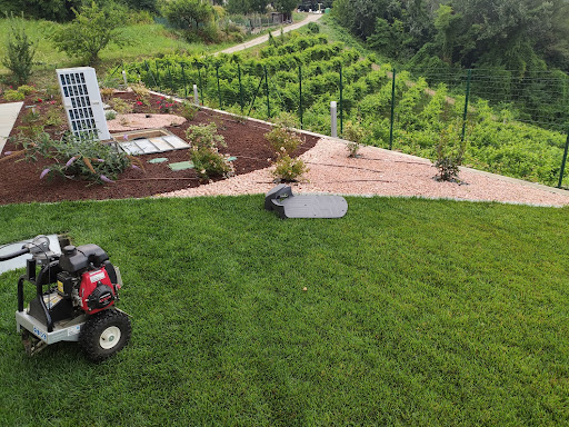 DB Robot Lawn Service - Thumbnail