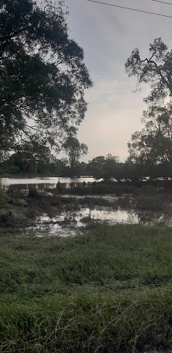 Alf Schmidt Wetland - Thumbnail
