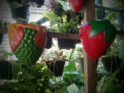Photos of Toko Bunga QUINSHA FLORIST