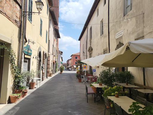 Dolce Vitae - Visual