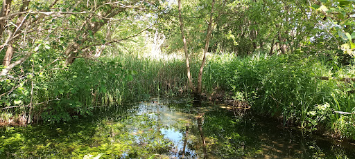 Chippenham Fen - Thumbnail