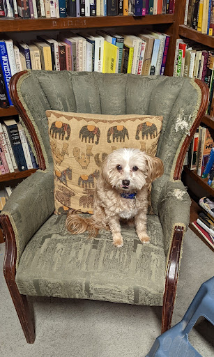 Readers' Cove Used Books & Gallery - Thumbnail