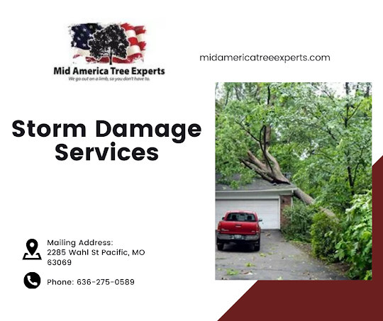 Tree Removal St Louis