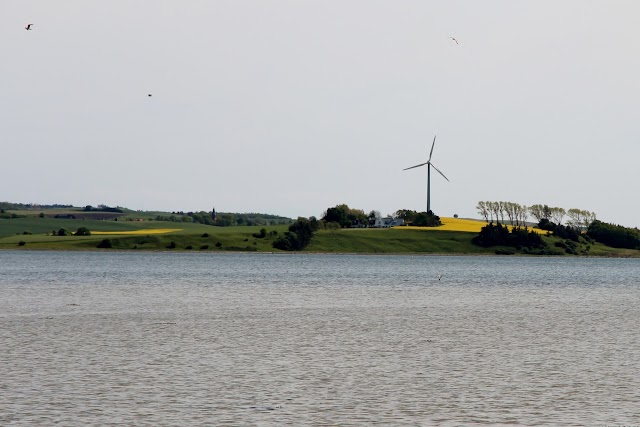 Kalø Slotsruin