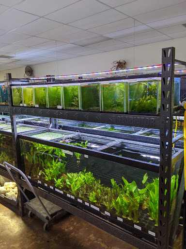 Aquatek Tropical Fish - Thumbnail