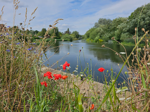 The River Mill - Visual