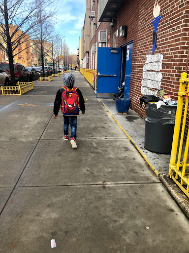 P.S. 268 The Emma Lazarus Elementary School - Thumbnail