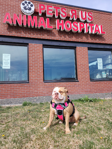 Pets R Us Commerce City - Thumbnail