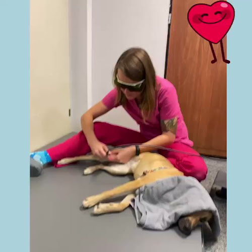 Przychodnia Weterynaryjna Animal Center Weterynarz Ursynów - Vet Clinic Warsaw - Piaseczno