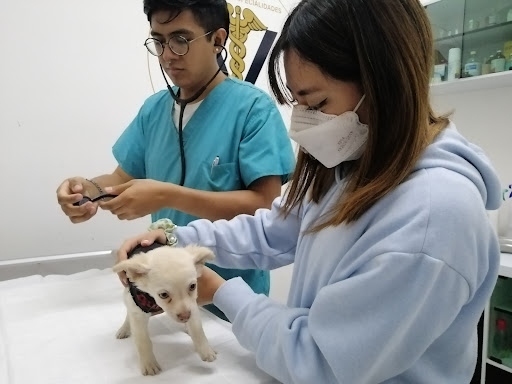 Hospital de Especialidades Veterinarias de Oriente
