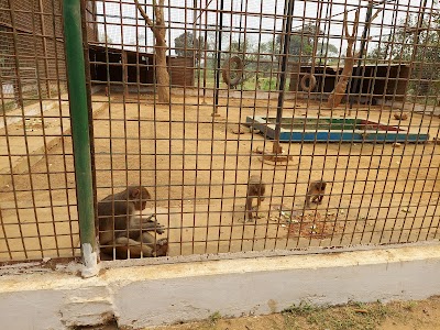Photos of Savar Mini Zoo