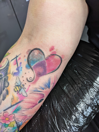 Kitty Ink - Visual