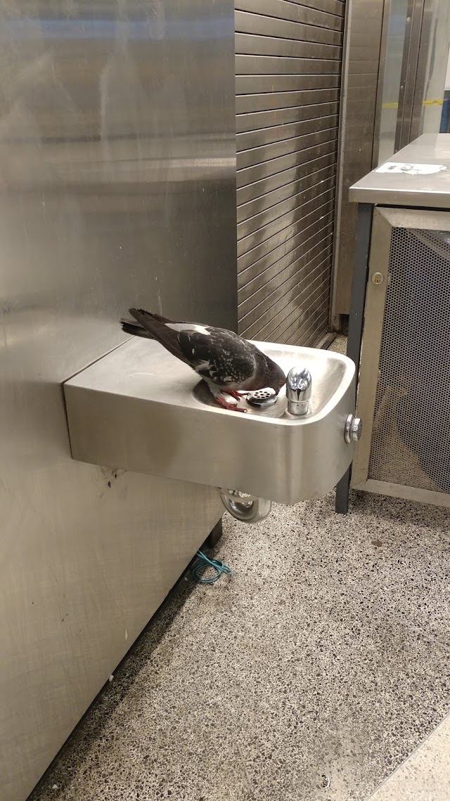 Powell Street BART station