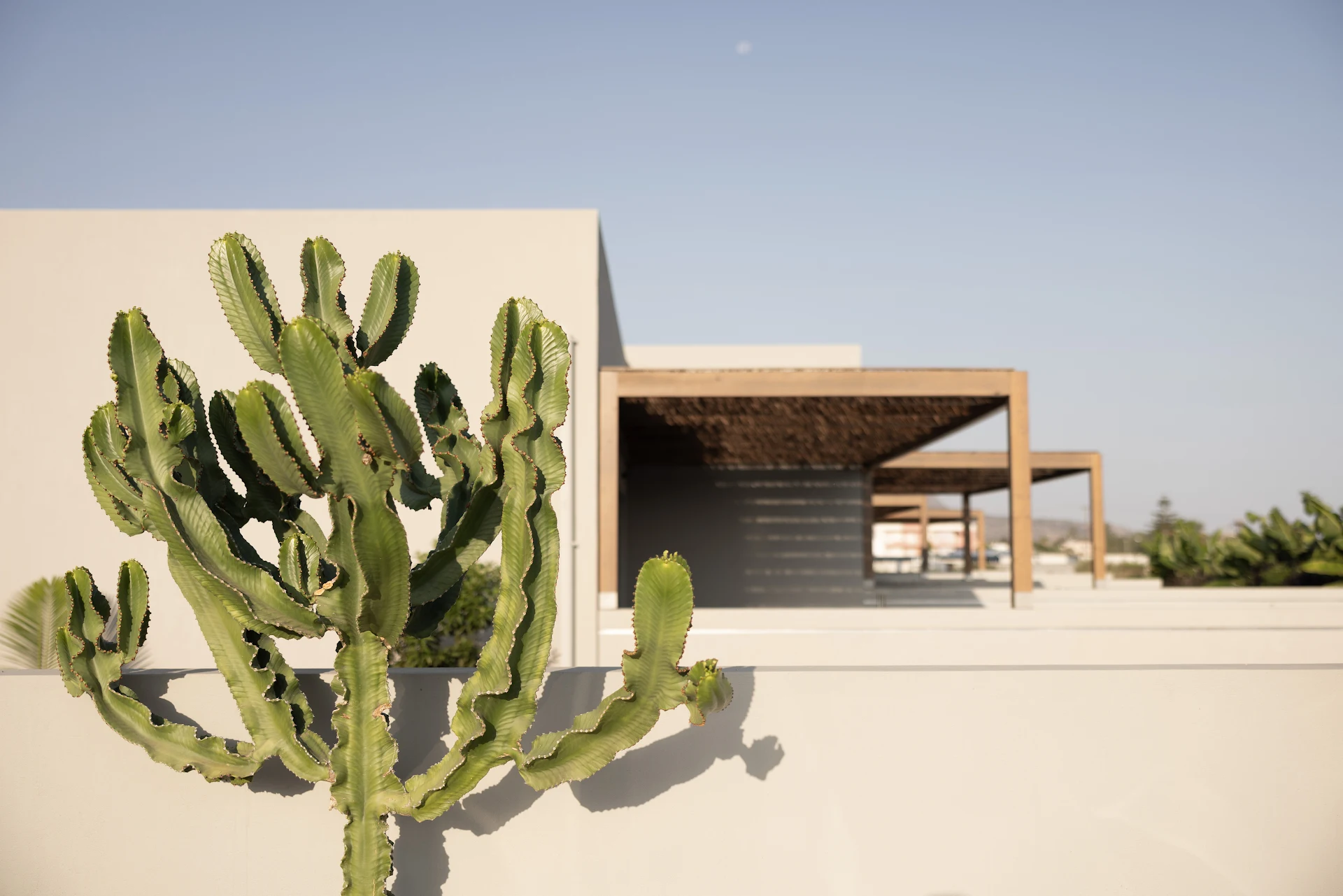 AKU Suites