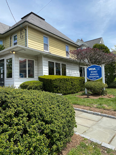Bond Animal Hospital