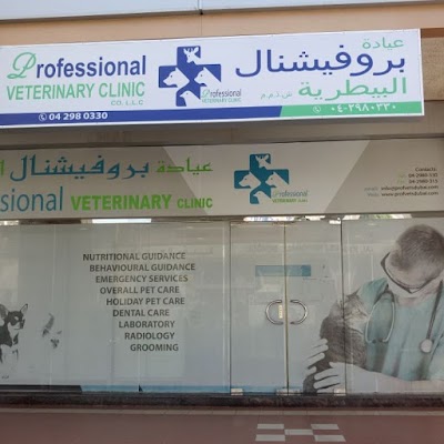 Photos of Professional Veterinary Clinic