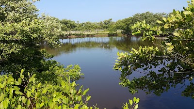 Photos of Manglar De Los Manat&iacute;es