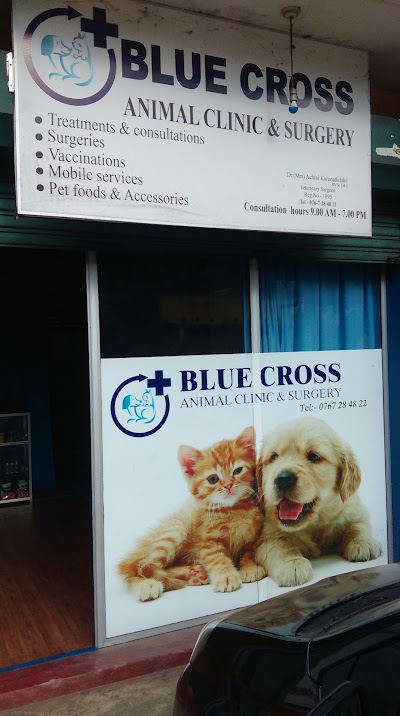 veterinary-care